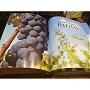 На память: Атлас мира. Вино — книга для мужчины — фотография 3