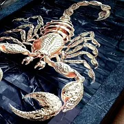 Нарды под стеклом «Золотой скорпион» — фотография 4